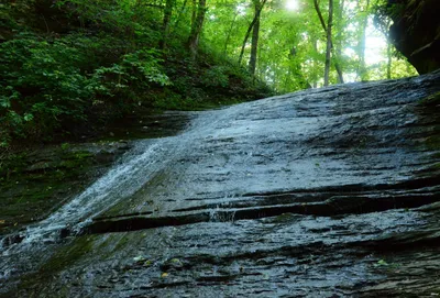 DSC_2767 (Large).JPG